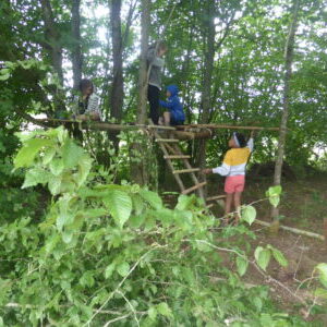 enfants sur une cabane en hauteur construite par eux lors des satges Rêve de terre