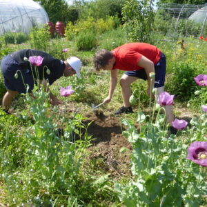 deux adolescents travaillent la terre ensemble dans un jardin fleuri